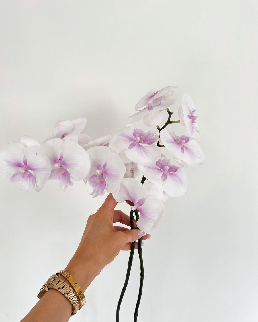 Boss Botanicals Phalaenopsis Orchids Stem White