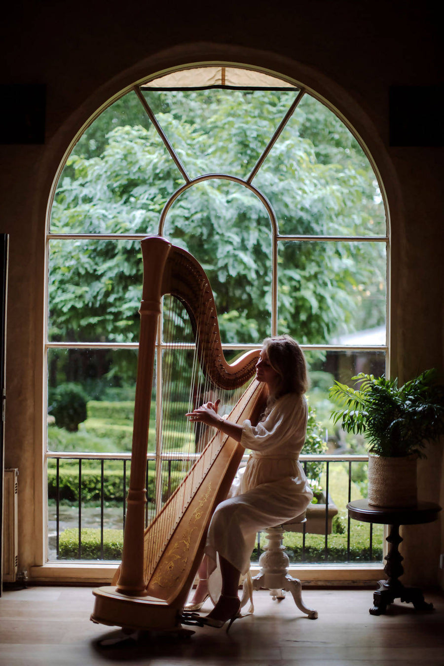 Luxury Harpist